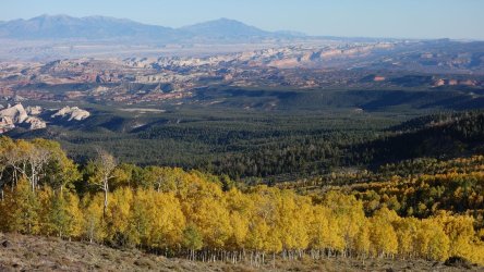 DSC00379_result.jpg DSC00379_result.jpg