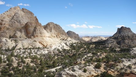 DSC00469_result.jpg DSC00469_result.jpg