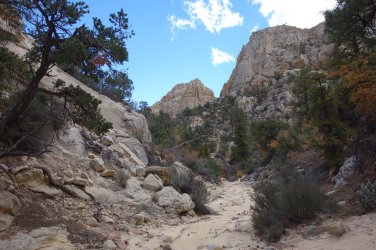 DSC00497_result.jpg DSC00497_result.jpg