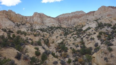 DSC00533_result.jpg DSC00533_result.jpg