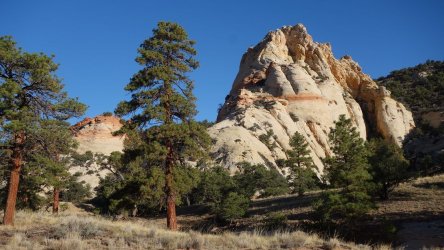 DSC00548_result.jpg DSC00548_result.jpg