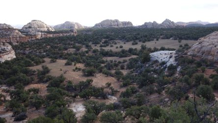 DSC00651_result.jpg DSC00651_result.jpg