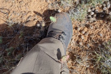 DSC00654_result.jpg DSC00654_result.jpg