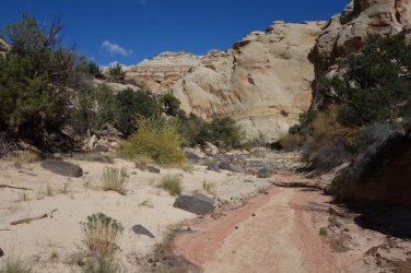 DSC00694_result.jpg DSC00694_result.jpg