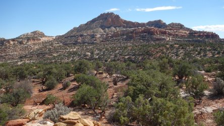 DSC00839_result.jpg DSC00839_result.jpg