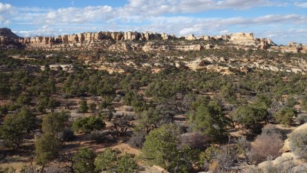 DSC00878_result.jpg DSC00878_result.jpg