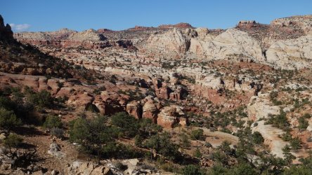 DSC00980_result.jpg DSC00980_result.jpg