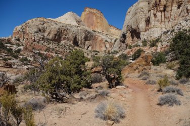 DSC01113_result.jpg DSC01113_result.jpg