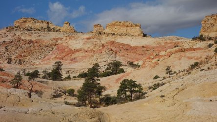 DSC01146_result.jpg DSC01146_result.jpg