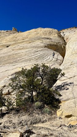 IMG_6934.jpeg IMG_6934.jpeg