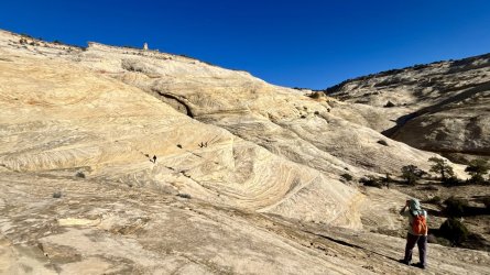 IMG_6983.jpeg IMG_6983.jpeg