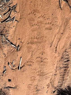 IMG_7309.jpeg IMG_7309.jpeg