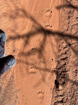 IMG_7313.jpeg IMG_7313.jpeg