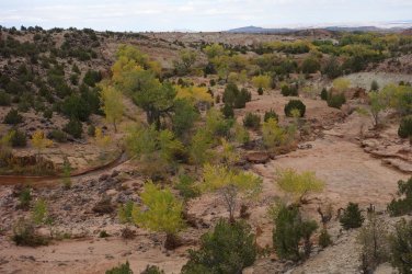 DSC01167_result.jpg DSC01167_result.jpg