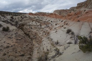 DSC01171_result.jpg DSC01171_result.jpg