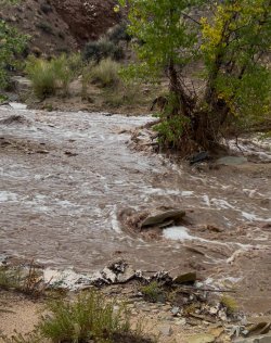 unnamed.jpg unnamed.jpg