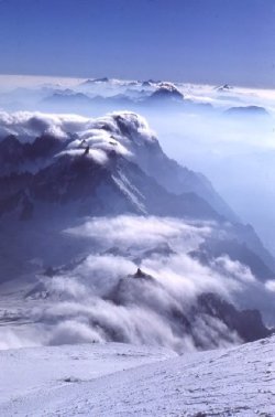 IMG_1987_Original.jpeg IMG_1987_Original.jpeg