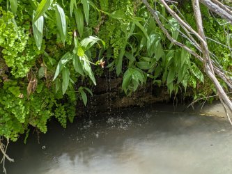 PXL_20240530_205052836 (1).jpg