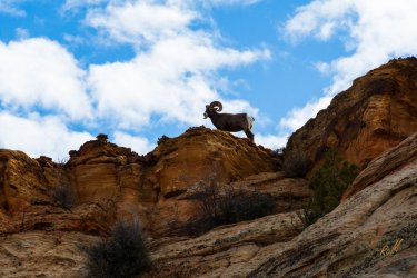 CRNP- 11-2025-00166.jpg