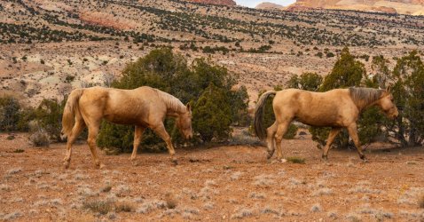 CRNP- 11-2025-00109.jpg