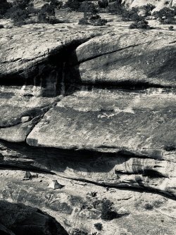 IMG_6318.jpeg IMG_6318.jpeg