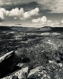 IMG_6324.jpeg IMG_6324.jpeg