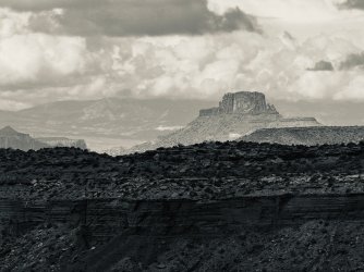 IMG_6328.jpeg IMG_6328.jpeg