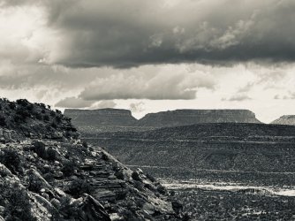 IMG_6340.jpeg IMG_6340.jpeg