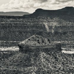 IMG_6341.jpeg IMG_6341.jpeg