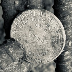 IMG_6352.jpeg IMG_6352.jpeg