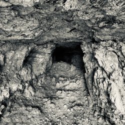 IMG_6353.jpeg IMG_6353.jpeg