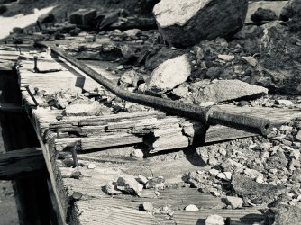 IMG_6366.jpeg IMG_6366.jpeg