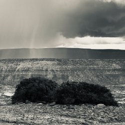 IMG_6390.jpeg IMG_6390.jpeg