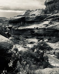 IMG_6397.jpeg IMG_6397.jpeg