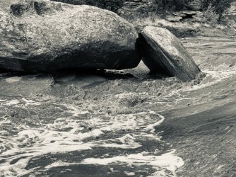 IMG_6398.jpeg IMG_6398.jpeg