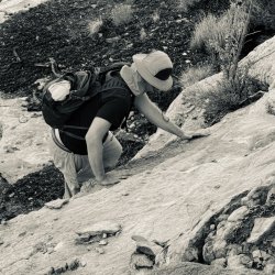 IMG_6418.jpeg IMG_6418.jpeg