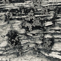 IMG_6425.jpeg IMG_6425.jpeg