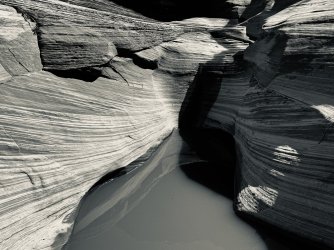 IMG_6443.jpeg IMG_6443.jpeg