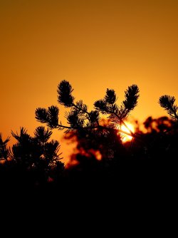 November 5, 2025 - 28 of 155_Original.jpeg