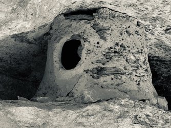 IMG_6480.jpeg IMG_6480.jpeg