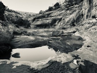 IMG_6493.jpeg IMG_6493.jpeg