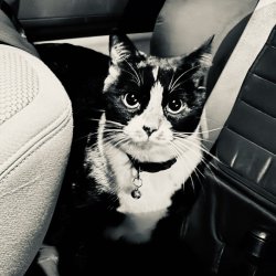 IMG_6516.jpeg IMG_6516.jpeg