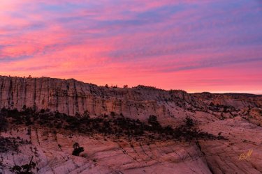 Mamie 11-2025-08769.jpg