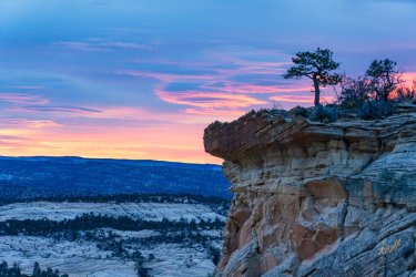 Mamie 11-2025-08801.jpg