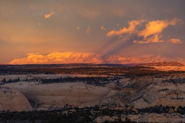 Mamie 11-2025-08898.jpg