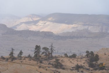 Mamie 11-2025-08828.jpg