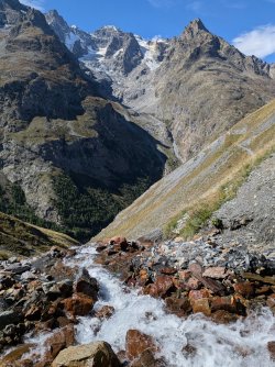 PXL_20250920_105726064~2 (1).jpg