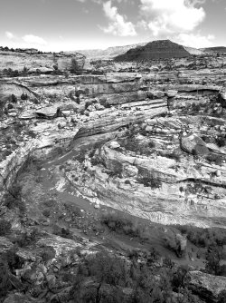 IMG_7500.jpeg IMG_7500.jpeg