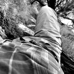 IMG_7501.jpeg IMG_7501.jpeg