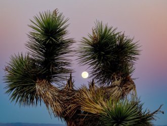 Untitled - 1 of 1.jpeg